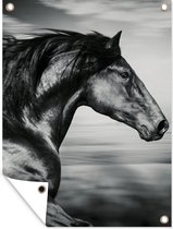 Tuin decoratie Paard - Dieren - zwart - Wit - 30x40 cm - Tuindoek - Buitenposter