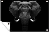 Tuinposter - Tuindoek - Tuinposters buiten - Dieren - Olifant - Portret - Zwart - Wit - 120x80 cm - Tuin