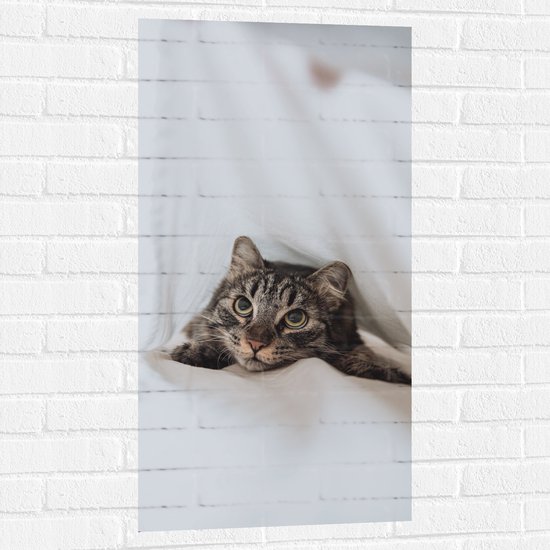 WallClassics - Muursticker - Cyperse Kat onder de Dekens - 50x100 cm Foto op Muursticker