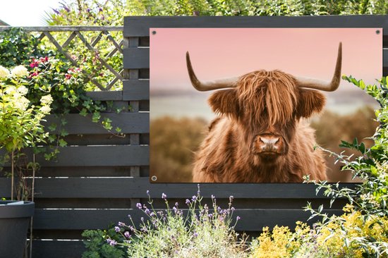 Affiche de jardin Vache - Highlander écossais - Animal - 120x80 cm - Jardin