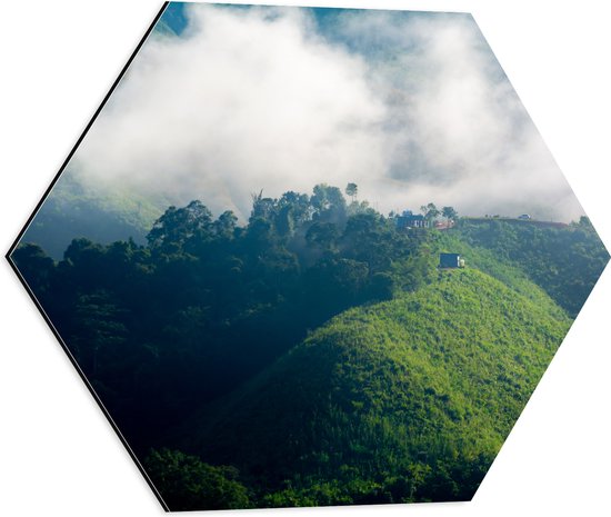 Dibond Hexagon - Dichtbegroeide Bergen in Mist van Wolken - 50x43.5 cm Foto op Hexagon (Met Ophangsysteem)