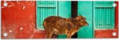 WallClassics - Tuinposter – Koe voor Blauwe Boerderijdeur - 60x20 cm Foto op Tuinposter (wanddecoratie voor buiten en binnen)