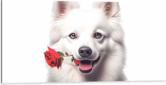 Dibond - Tekening van Romantische Eskimo Hond met Roos tegen Witte Achtegrond - 100x50 cm Foto op Aluminium (Met Ophangsysteem)