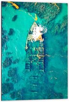 WallClassics - Dibond - Gezonken Schip in Heldere Zee - 60x90 cm Foto op Aluminium (Met Ophangsysteem)