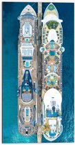 WallClassics - Dibond - Grote Cruise Schepen - 50x100 cm Foto op Aluminium (Wanddecoratie van metaal)