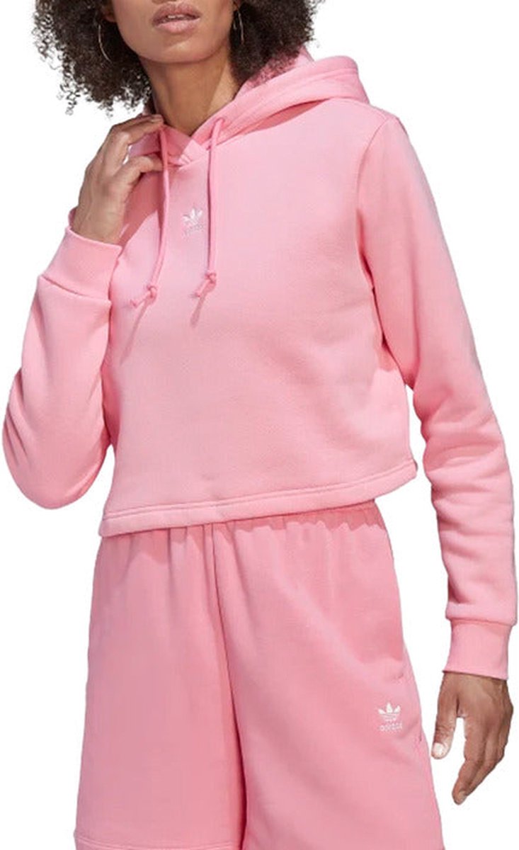 Origineel Adidas Sweatshirt Met Hoodie - Sportwear - Vrouwen