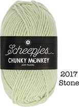 Scheepjes Chunky Monkey 100g - 2017 Stone - Beige