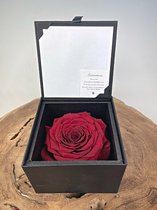 Longlife Roos ‘rood’ in giftbox | Eeuwige Roos | Uniek Cadeau | 10,5x7,5x11 CM | Stijlvol & Indrukwekkend
