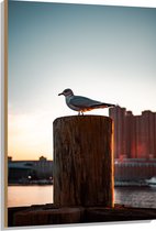 WallClassics - Bois - Mouette sur poteau - 80x120 cm - 9 mm d'épaisseur - Photo sur bois (avec système de suspension)