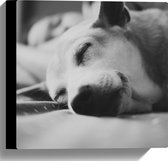WallClassics - Canvas - Slapende Hond - Zwart Wit - 30x30 cm Foto op Canvas Schilderij (Wanddecoratie op Canvas)