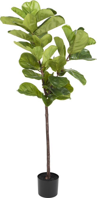Greenmoods Kunstplanten - Kunstplanten - Ficus Tabaksplant Deluxe - Zijde - 155 cm