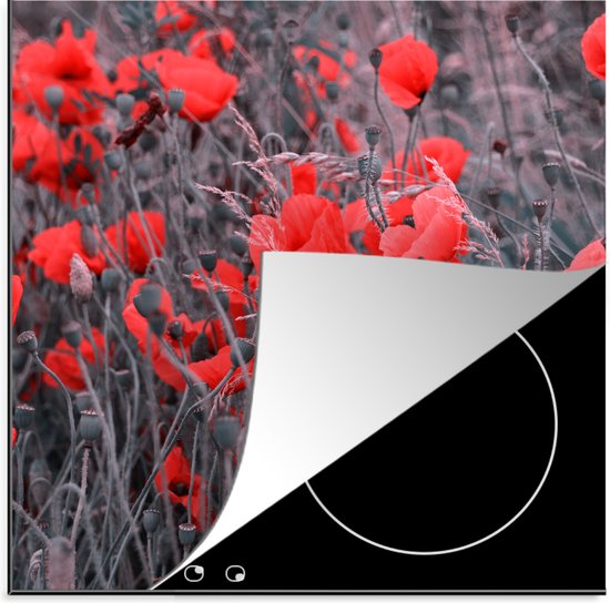 Under the Sea - Kwal Roze Rood - Inductie Beschermer