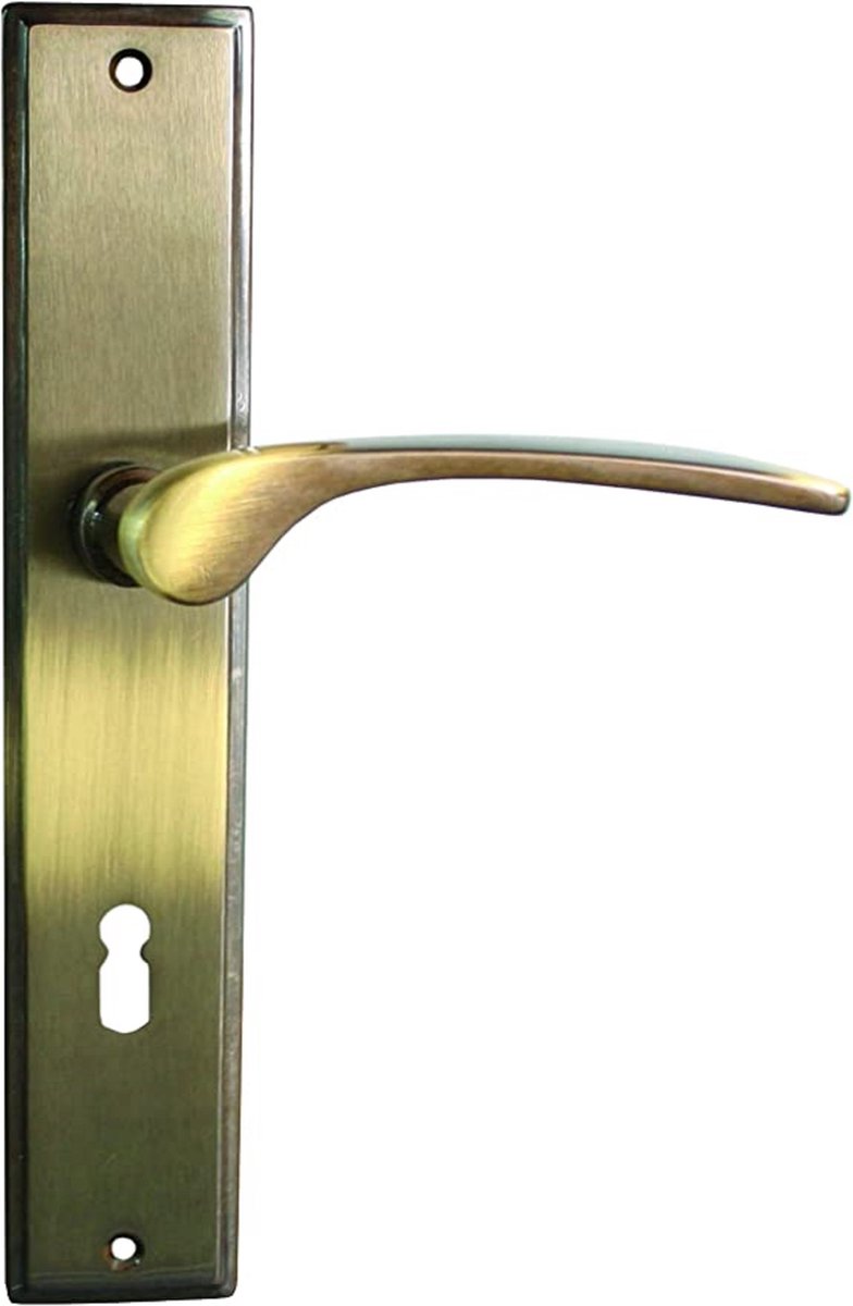 deurbeslag - house accessories Door handle stainless steel / voor toilets/badkamerdeuren | deurklink | deurkruk