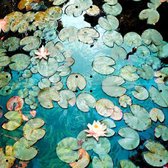 IXXI Waterlilies - Wanddecoratie - Fotografie - 40 x 40 cm