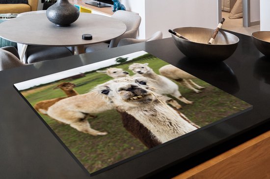 KitchenYeah® Inductie beschermer 78x78 cm - Lama - Selfie - Gras - Kookplaataccessoires - Afdekplaat voor kookplaat - Inductiebeschermer - Inductiemat - Inductieplaat mat