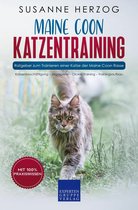 Maine Coon Katzentraining - Ratgeber zum Trainieren einer Katze der Maine Coon Rasse