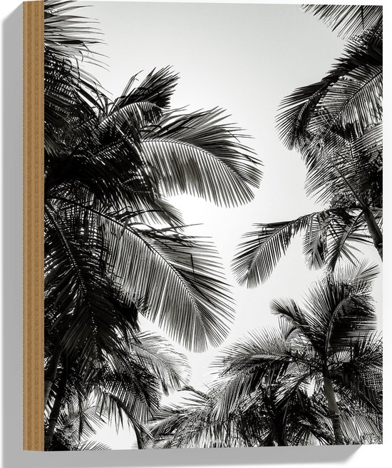 WallClassics - Hout - Zwart/ Witte Palmbladeren - 30x40 cm - 9 mm dik - Foto op Hout (Met Ophangsysteem)