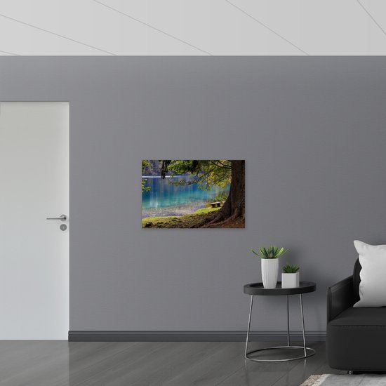 Dibond - Bankje aan het Water bij Oude Grote Boom - 90x60 cm Foto op Aluminium (Met Ophangsysteem)