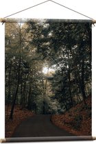 WallClassics - Affiche textile - Chemin à travers la forêt - 60x80 cm Photo sur textile