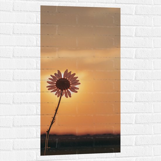 WallClassics - Muursticker - Zon achter Kleine Witte Bloem Verdwijnend - 50x100 cm Foto op Muursticker