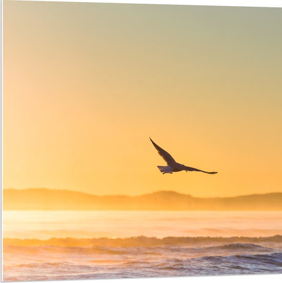 WallClassics - Plaque de Mousse PVC - Toit volant à travers les Rayons de Soleil en Mer - 80x80 cm Photo sur Plaque de Mousse PVC (Avec Système d'accrochage)
