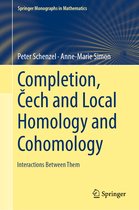 Completion Cech and Local Homology and Cohomology