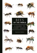A Guide to Every Family5- Bees of the World