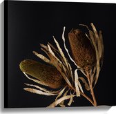 Canvas - Duo van Banksia Menziesii Planten in Witte Vaas - 60x60 cm Foto op Canvas Schilderij (Wanddecoratie op Canvas)