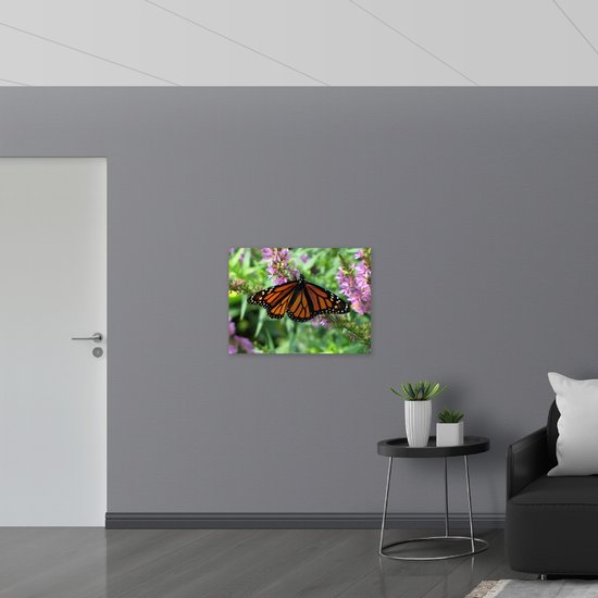 Dibond - Bruin met Zwarte Vlinder bij Lila Bloemen - 80x60 cm Foto op Aluminium (Wanddecoratie van metaal)