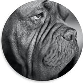 WallClassics - Dibond Muurcirkel - Kwijlende Hond (Zwart- wit) - 50x50 cm Foto op Aluminium Muurcirkel (met ophangsysteem)