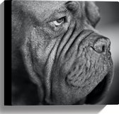 WallClassics - Canvas - Kwijlende Hond (Zwart- wit) - 30x30 cm Foto op Canvas Schilderij (Wanddecoratie op Canvas)