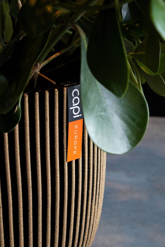 Capi Europe - Bloempot bol Groove NL - 43x41 - Goud - Opening Ø35 - Bloempot voor binnen en buiten - Levenslang garantie - Breukbestendig - 100% Recyclebaar - CO2 Neutraal geproduceerd - KGVGB933