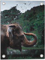 WallClassics - Tuinposter – Blije Olifant met Gekrulde Slurf in Bos - 30x40 cm Foto op Tuinposter (wanddecoratie voor buiten en binnen)