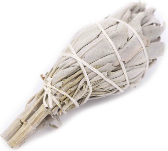 Witte Salie tulp - white sage tulip - smudge stick - 1 stuk - 10cm - meditatie - yoga - huis reiniging - zuivering