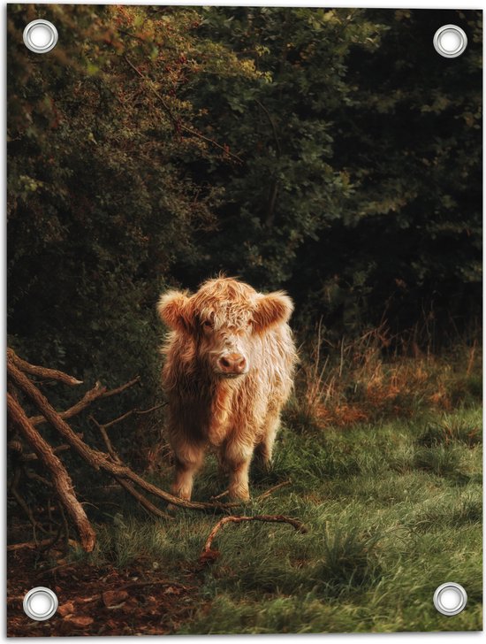 WallClassics - Tuinposter – Fluffy Bruine Schotse Hooglander in Begroeid Bos - 30x40 cm Foto op Tuinposter (wanddecoratie voor buiten en binnen)
