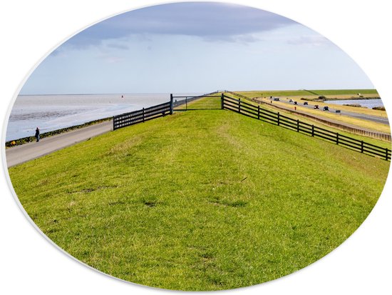 PVC Schuimplaat Ovaal - Dijk met Koeien langs de Noordzee in Nederland - 40x30 cm Foto op Ovaal (Met Ophangsysteem)