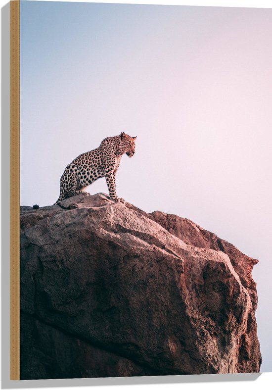 WallClassics Hout Gespierde Panter op Rots aan de Rand van Cliff