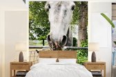 Behang - Fotobehang Paarden - Lipizzaner - Hek - Breedte 175 cm x hoogte 240 cm