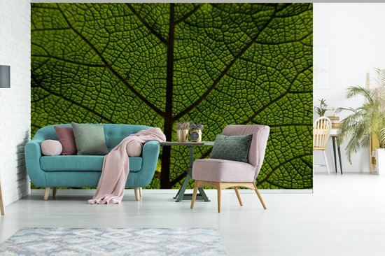 Papier peint photo peint photo vinyle - Veines des feuilles largeur 330 cm x hauteur 220 cm - Tirage photo sur papier peint (disponible en 7 tailles)