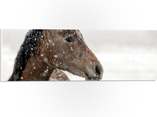 WallClassics - PVC Schuimplaat- Bruin Paard in de Sneeuw - 60x20 cm Foto op PVC Schuimplaat