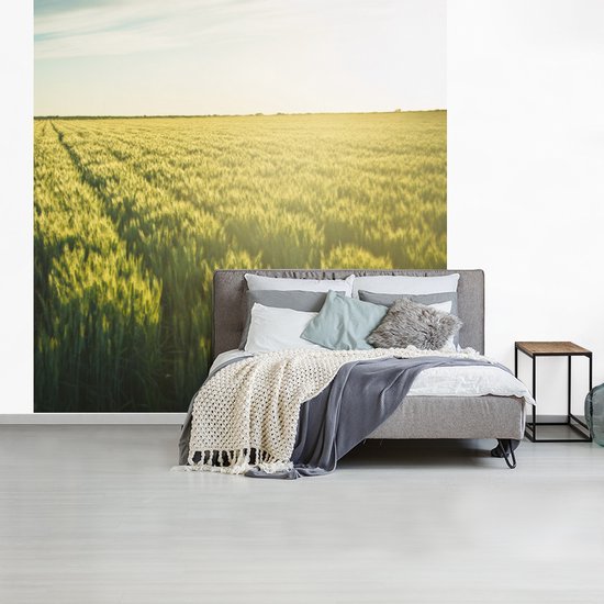 Behang - Fotobehang Landbouw in de vroege ochtend - Breedte 240 cm x hoogte 240 cm