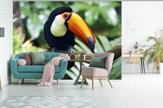 Papier peint Papier peint photo en vinyle - Toucan dans un zoo de New York largeur 330 cm x hauteur 240 cm - Tirage photo sur papier peint (disponible en 7 tailles)