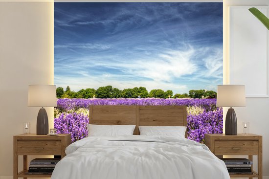 Behang - Fotobehang Blauwe lucht boven lavendel in de natuur - Breedte 220 cm x hoogte 220 cm