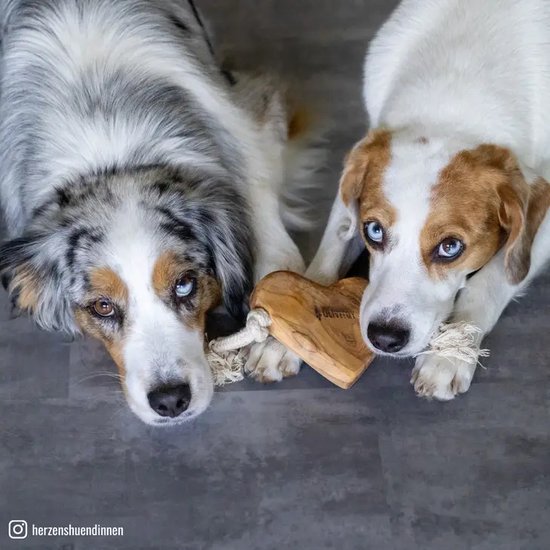 Crocodile Dental Chews voor honden - België