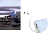 Behang - Fotobehang Sneeuwuil landt op het strand - Breedte 150 cm x hoogte 220 cm