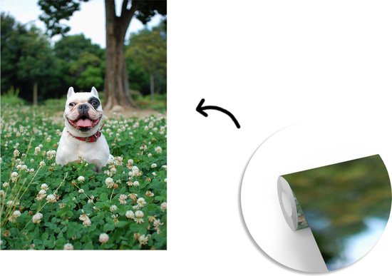 Behang - Fotobehang Dier - Klaver - Hond - Breedte 155 cm x hoogte 240 cm