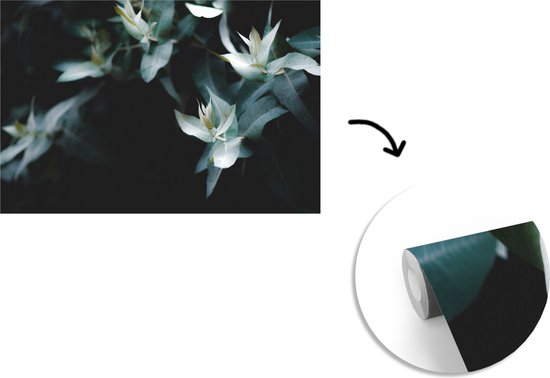 Papier peint Papier peint photo en vinyle - Branches d'eucalyptus sur fond sombre largeur 330 cm x hauteur 220 cm - Tirage photo sur papier peint (disponible en 7 tailles)