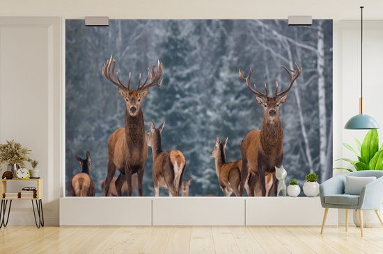 Behang - Fotobehang Hert - Winter - Sneeuw - Bosdieren - Bos - Natuur - Breedte 450 cm x hoogte 300 cm