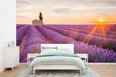 Behang - Fotobehang Lavendel - Zonsondergang - Bloemen - Paars - Breedte 295 cm x hoogte 220 cm