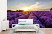 Behang - Fotobehang Lavendel - Bloemen - Zonsondergang - Paars - Breedte 295 cm x hoogte 220 cm